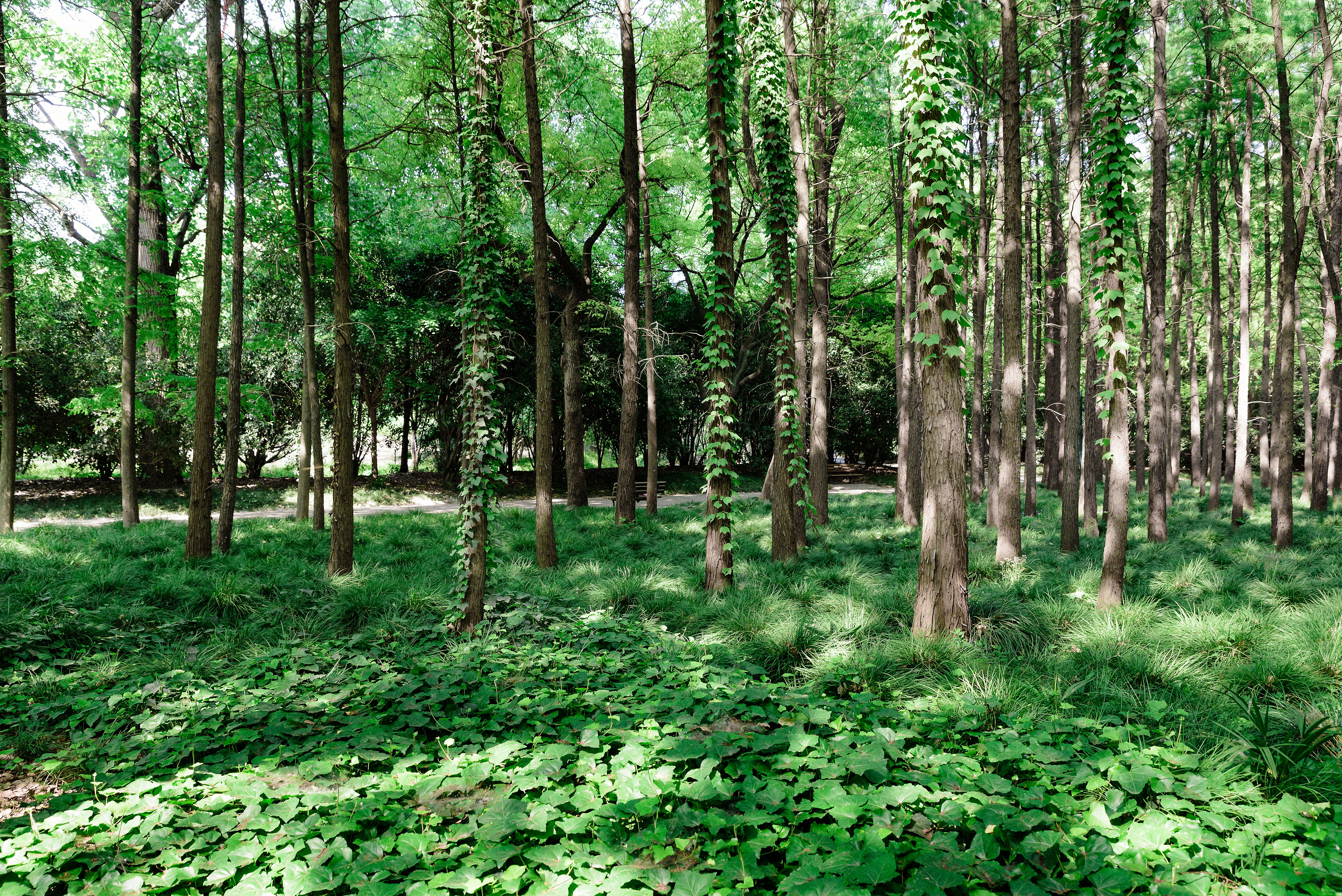 林業穿什么勞保鞋比較好，從事勞保防護用品十年人員表示：必須有這幾款！